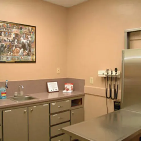 An additional examination room An additional examination room