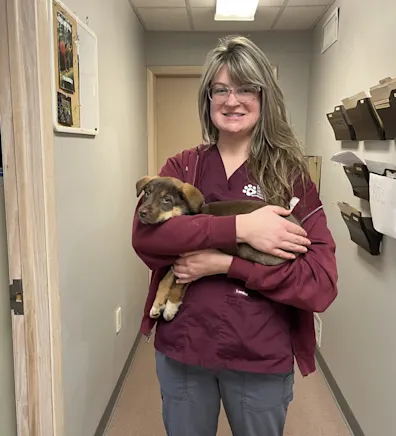 Pencil puppy placeholder Pencil puppy placeholder