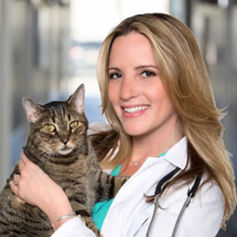Dr. Kari Rosen at Animal Specialty Center Dr. Kari Rosen at Animal Specialty Center