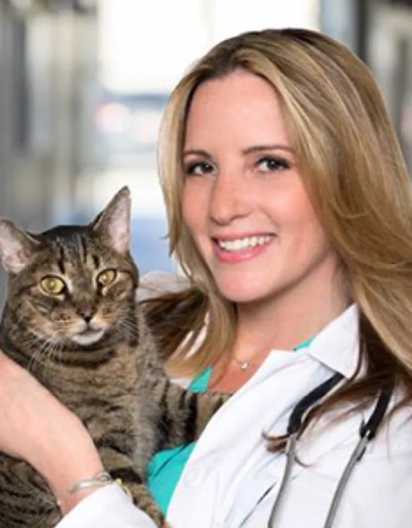 Dr. Kari Rosen at Animal Specialty Center