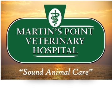 Martin's Point Veterinary Hospital: Homepage