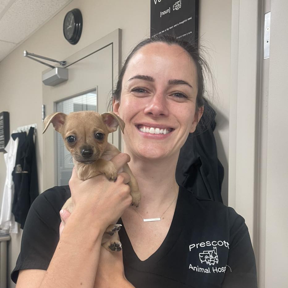 Puppy Wellness Packages 3
