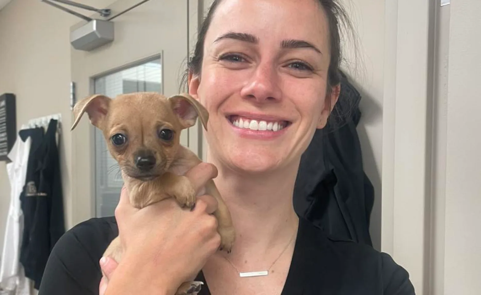 Puppy Wellness Packages 3 Puppy Wellness Packages 3