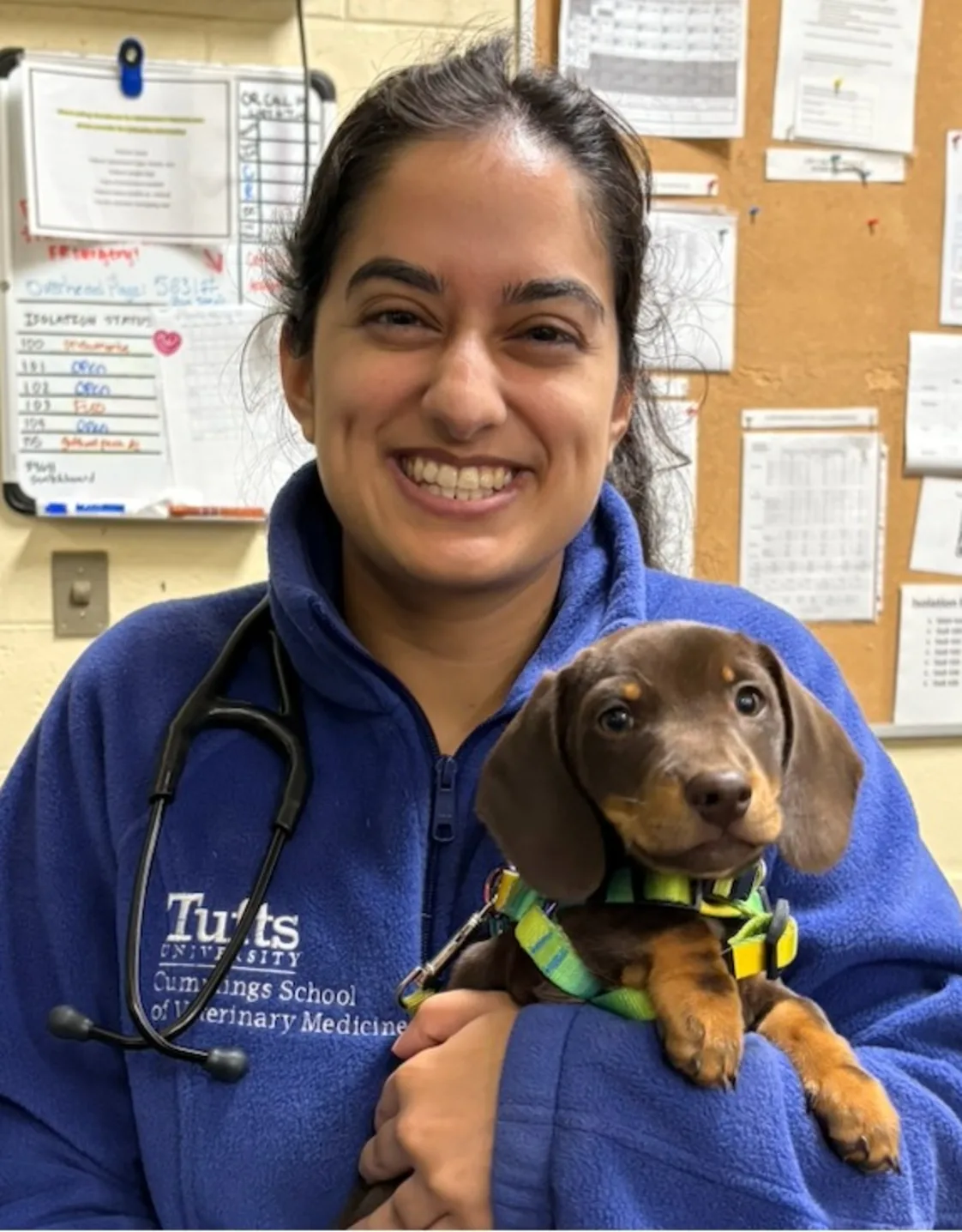 New Staff Member New Staff Member