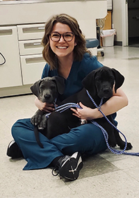 Staff holding two puppies