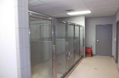 King of Prussia Veterinary Hospital Large Dog Ward