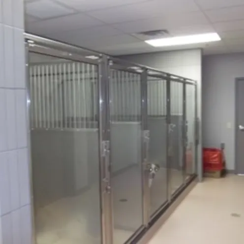 King of Prussia Veterinary Hospital Large Dog Ward