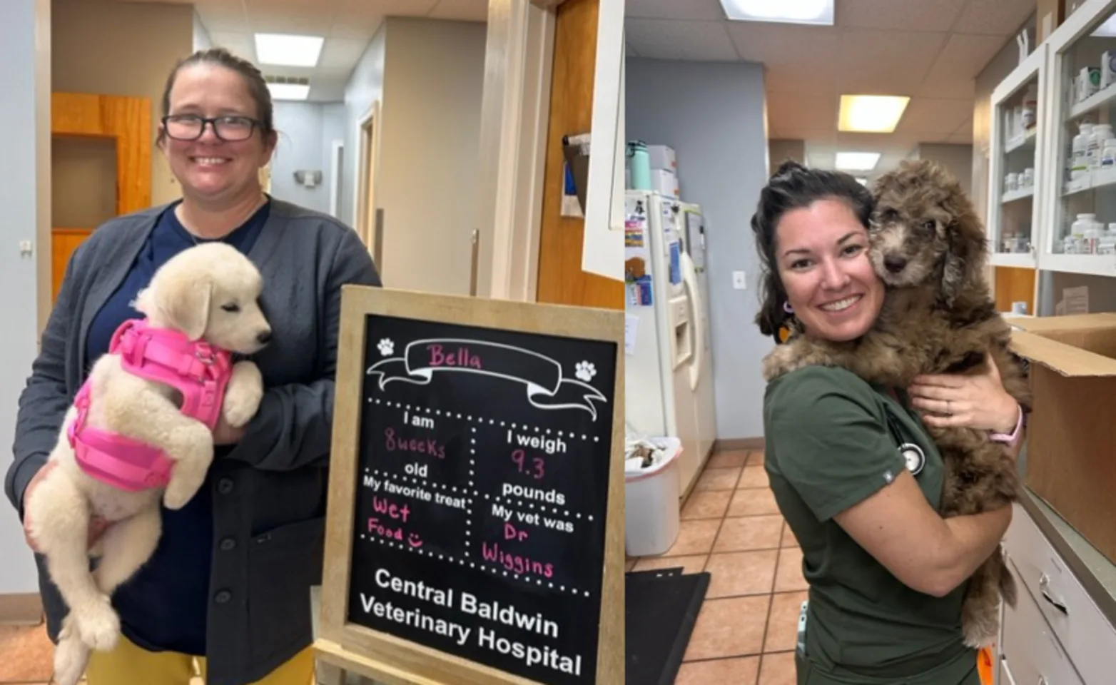 Staff Members Holding Dogs at Central Baldwin Veterinary Hospital Staff Members Holding Dogs at Central Baldwin Veterinary Hospital