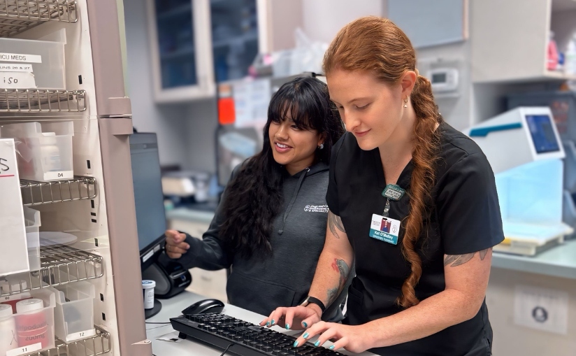 Christina and Kat typing on a computer.