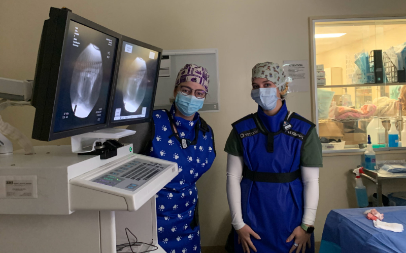 2 Nurses Standing Next to X-Ray Machine