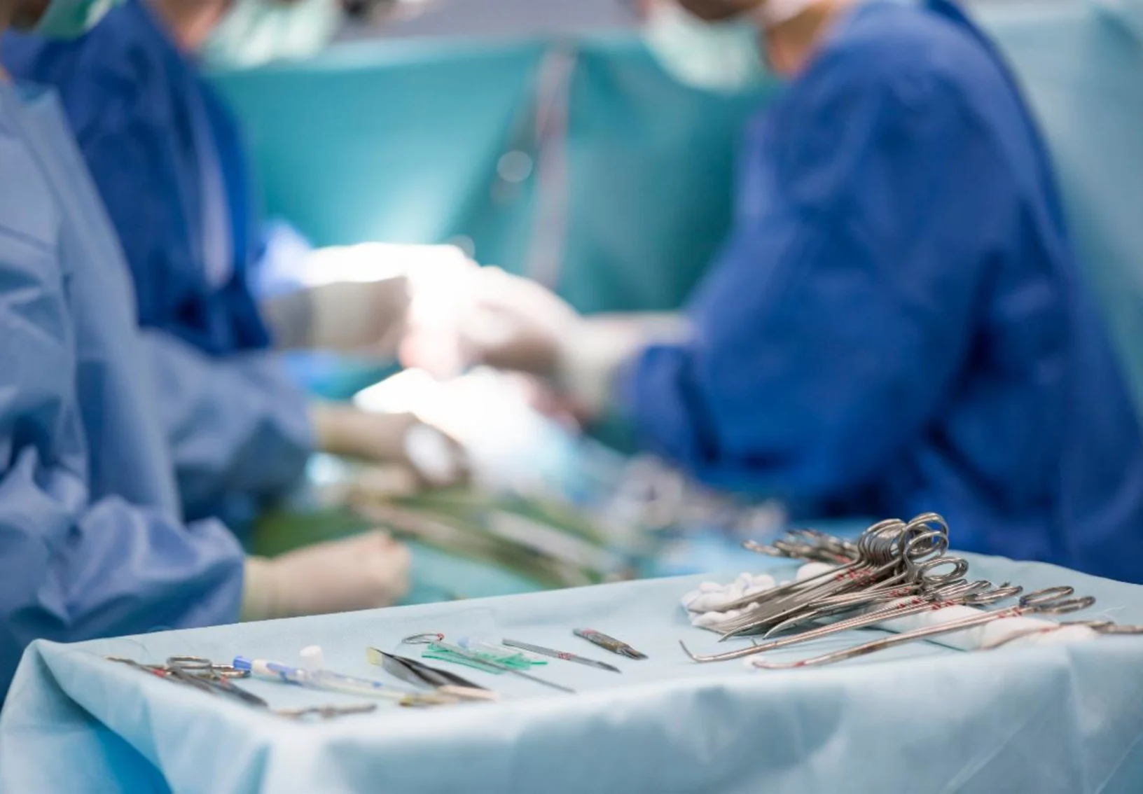 Animal Specialty Center Surgical Instruments Animal Specialty Center Surgical Instruments