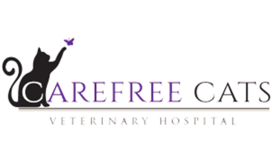 Carefree Cats Veterinary Hospital-HeaderLogo