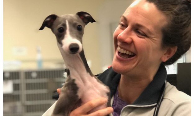 An employee smiling, looking at, and holding a small skinny dog 