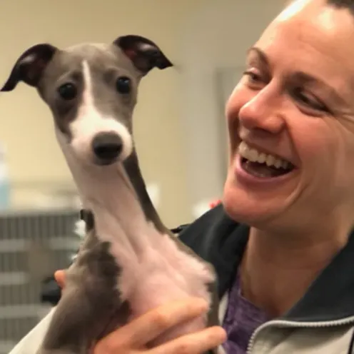 An employee smiling, looking at, and holding a small skinny dog 