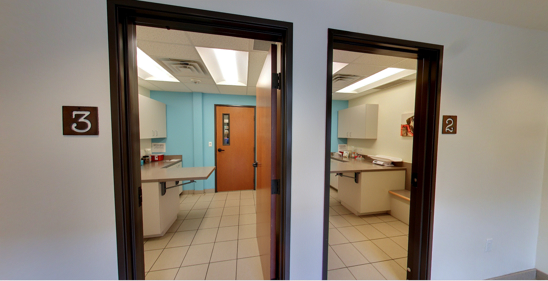 Austin Vet Hospital Clinic Room Number 2 and 3