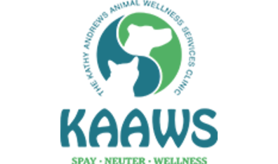 KAAWS gallery