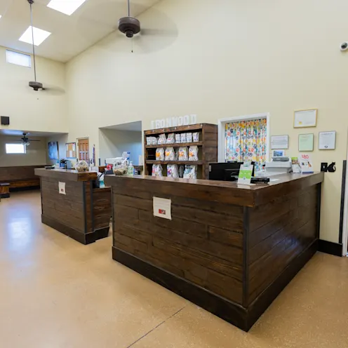 Receptionist Area Receptionist Area