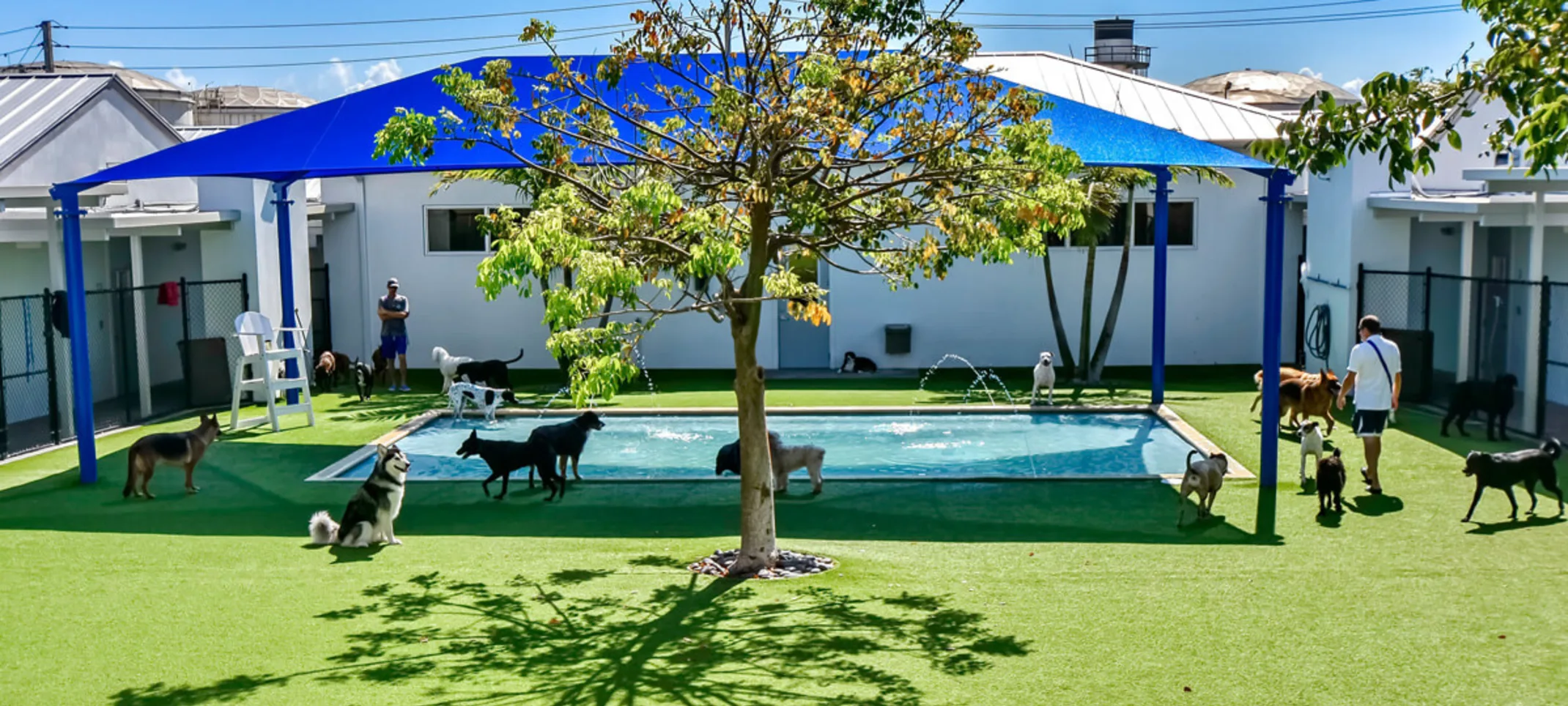 Lauderdale Pet Lodge Pool Area