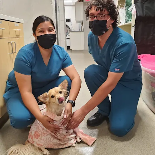 Two Glen Ellyn staff members kneeling inside while holding a dog in a blanket Two Glen Ellyn staff members kneeling inside while holding a dog in a blanket