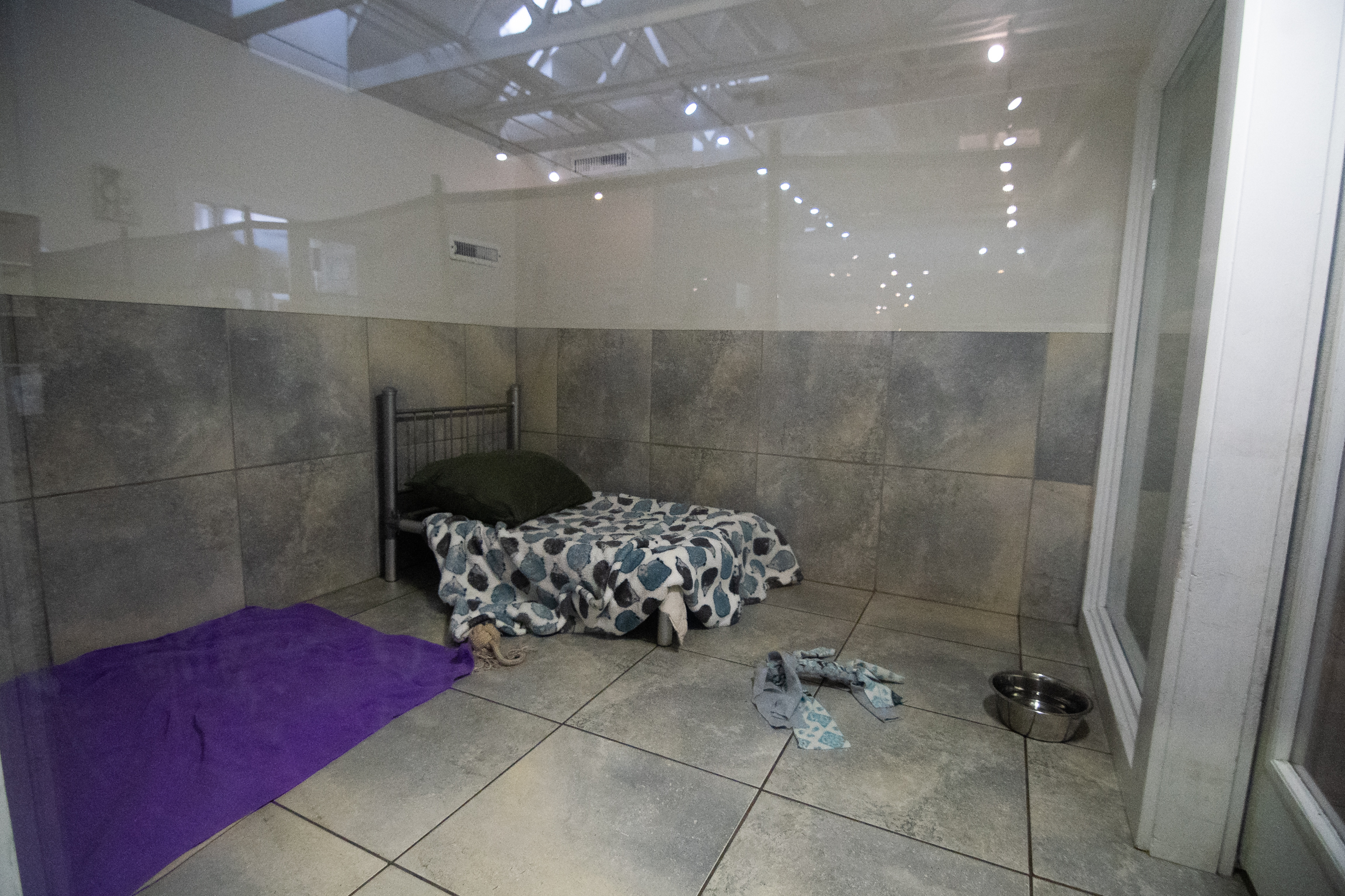 Breed Above Boarding bed area