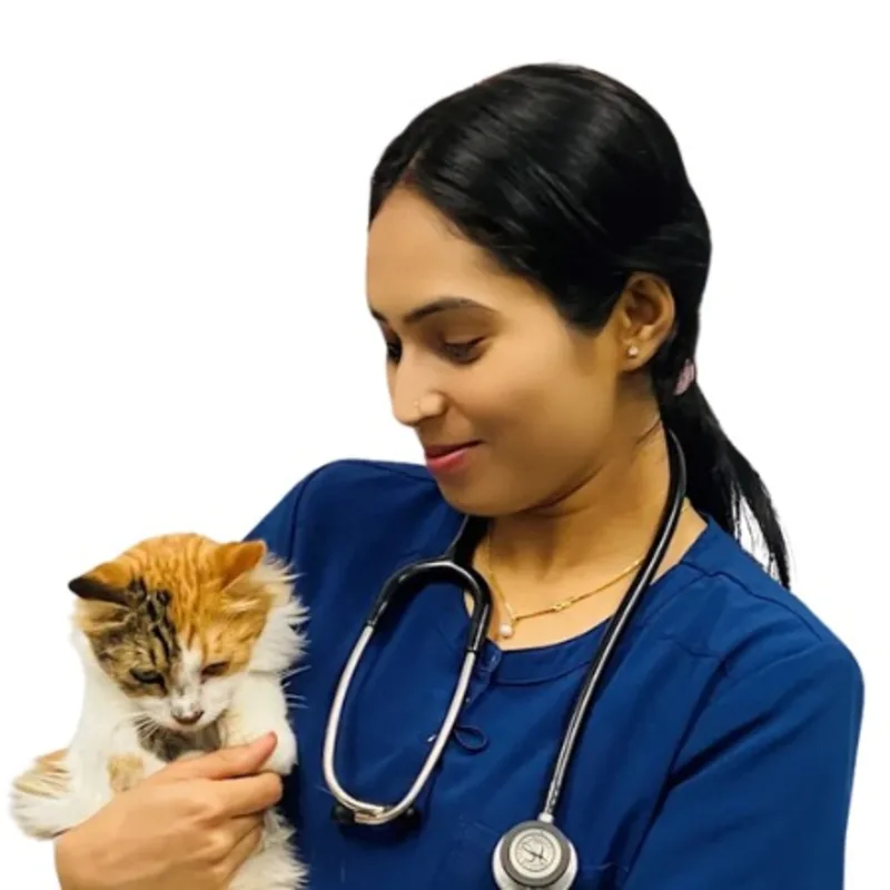 Dr. Nancy Sharma Dr. Nancy Sharma