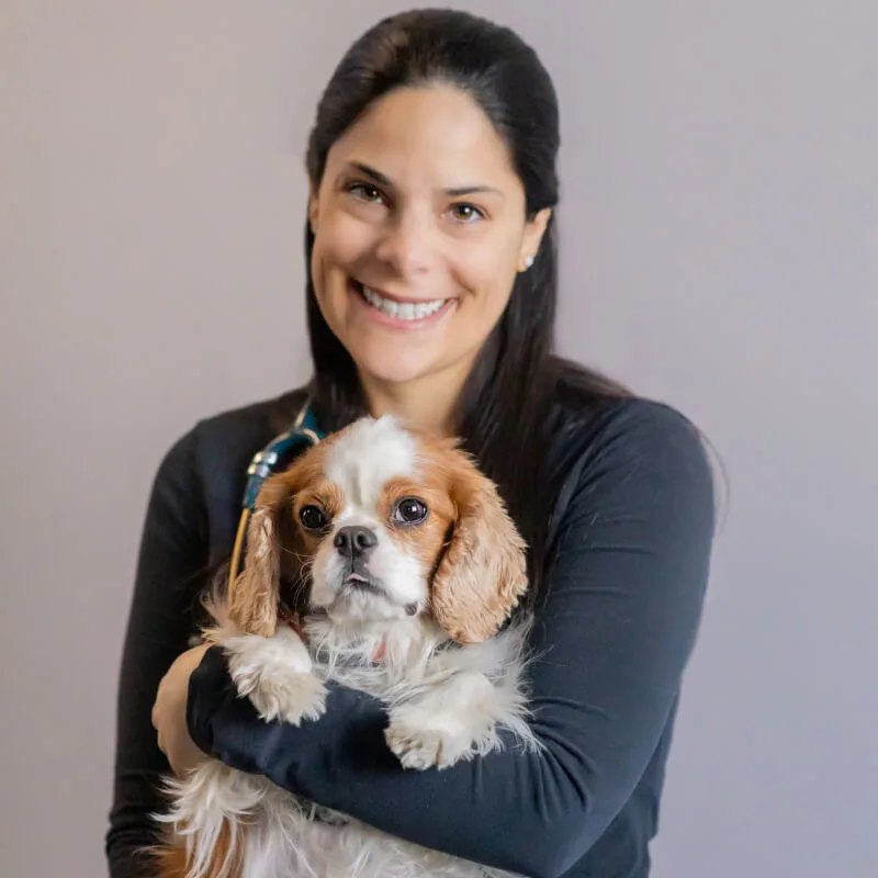 Headshot of Kimberly Hassen w/ brown and white dog Headshot of Kimberly Hassen w/ brown and white dog