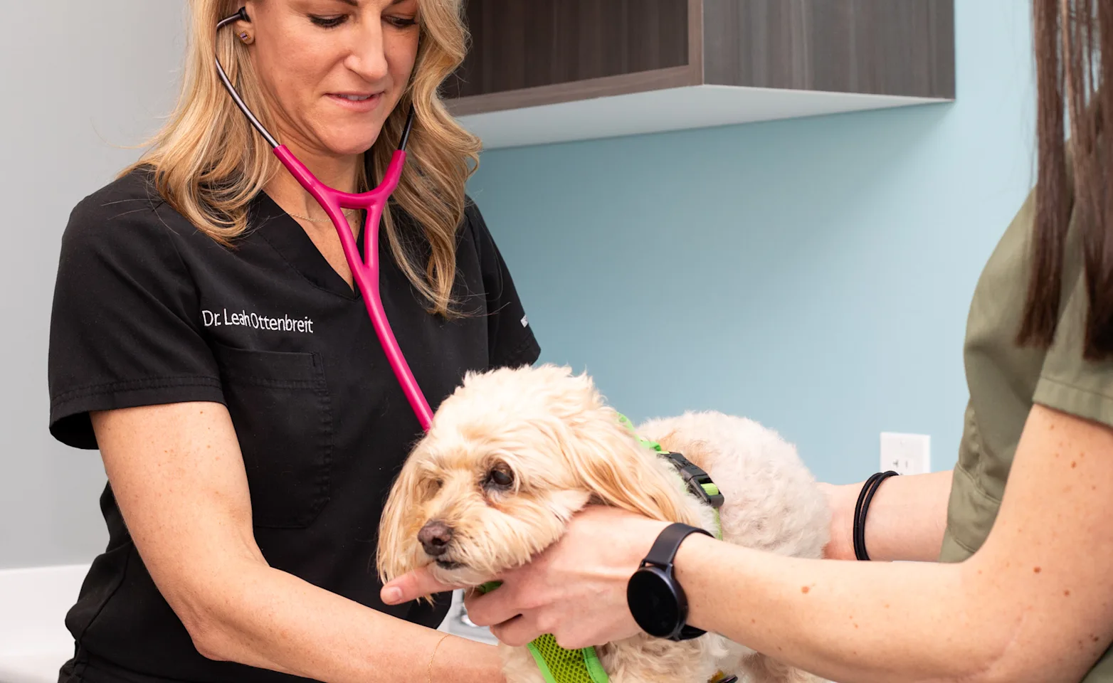 Leah working on dog Leah working on dog