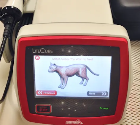 Laser therapy machine with cat image on it Laser therapy machine with cat image on it