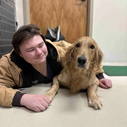 Our Staff Member Laying on the Ground with a Patient (Dog) Our Staff Member Laying on the Ground with a Patient (Dog)