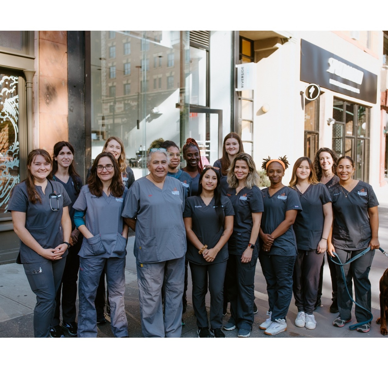 New staff members photo from Riverside Animal Hospital South