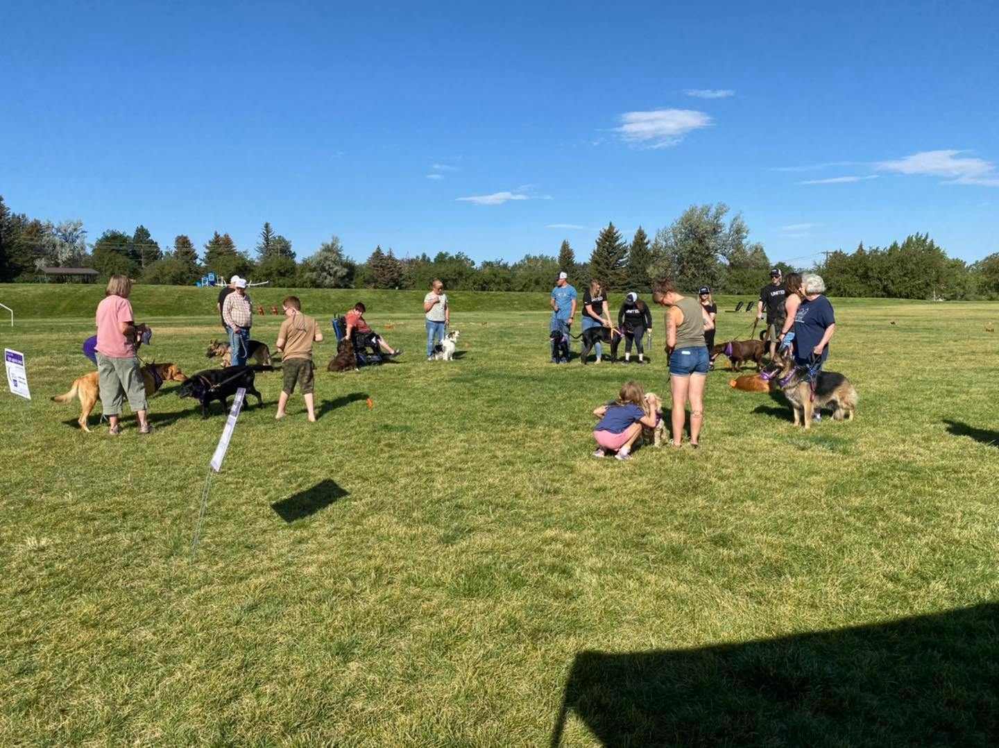 People gathered outside on green grass for Bark for Life event.