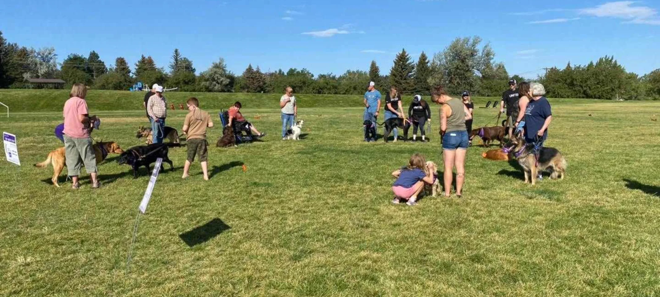 People gathered outside on green grass for Bark for Life event. People gathered outside on green grass for Bark for Life event.