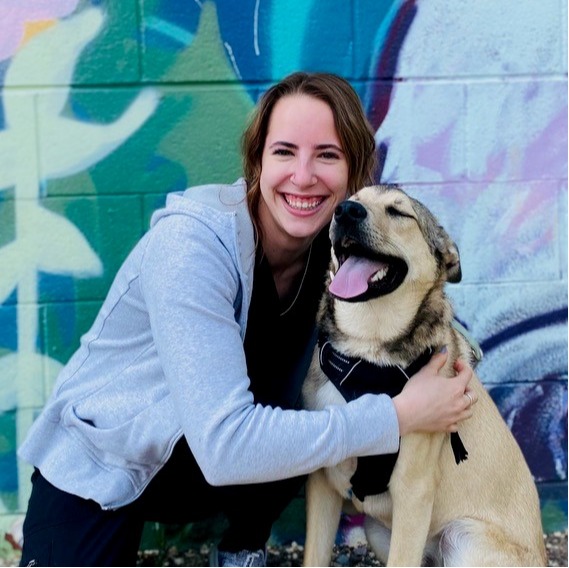 Afton Woodlake Veterinary Hospital