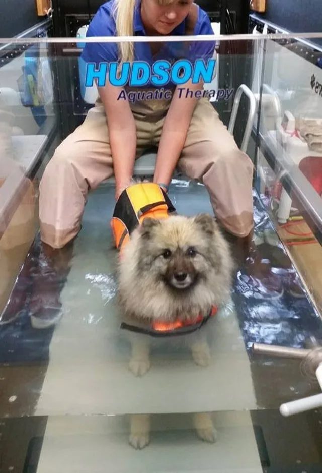 Hydrotherapy Hydrotherapy