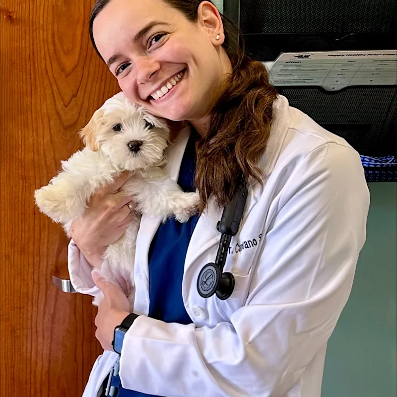 Dr. Marie-Bénédicte Capuano Sanches Dr. Marie-Bénédicte Capuano Sanches