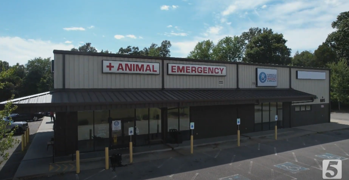 Nashville Veterinary Specialists - Clarksville - Explore CVES Video Thumbnail