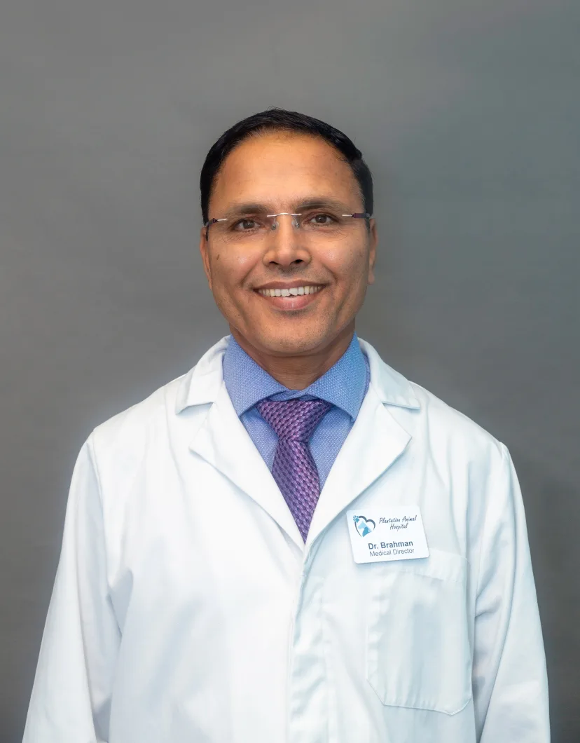 Dr. Angraiz Brahman at Plantation Animal Hospital of Tampa