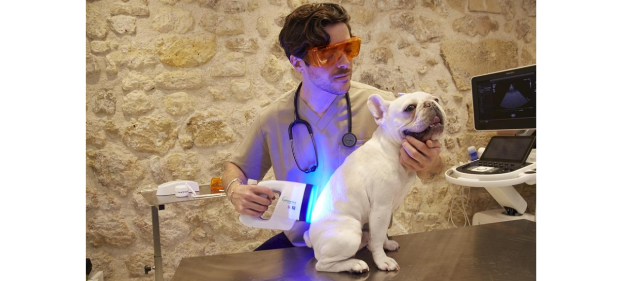 Phovia® Fluorescent Light Therapy for Dogs and Cats