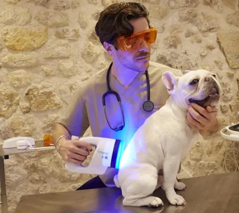 Phovia® Fluorescent Light Therapy for Dogs and Cats Phovia® Fluorescent Light Therapy for Dogs and Cats