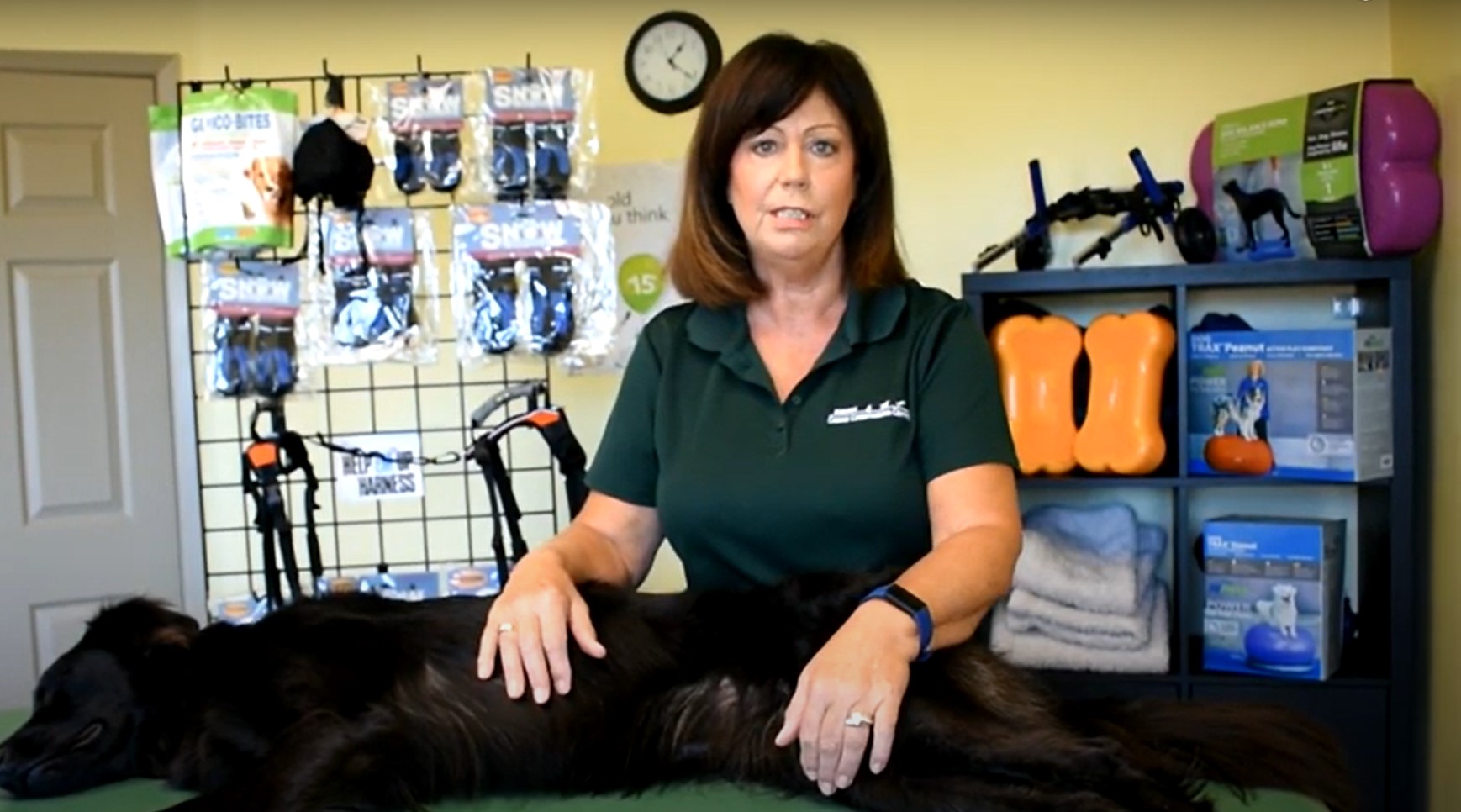 woman demonstration passive range of motion on dog 