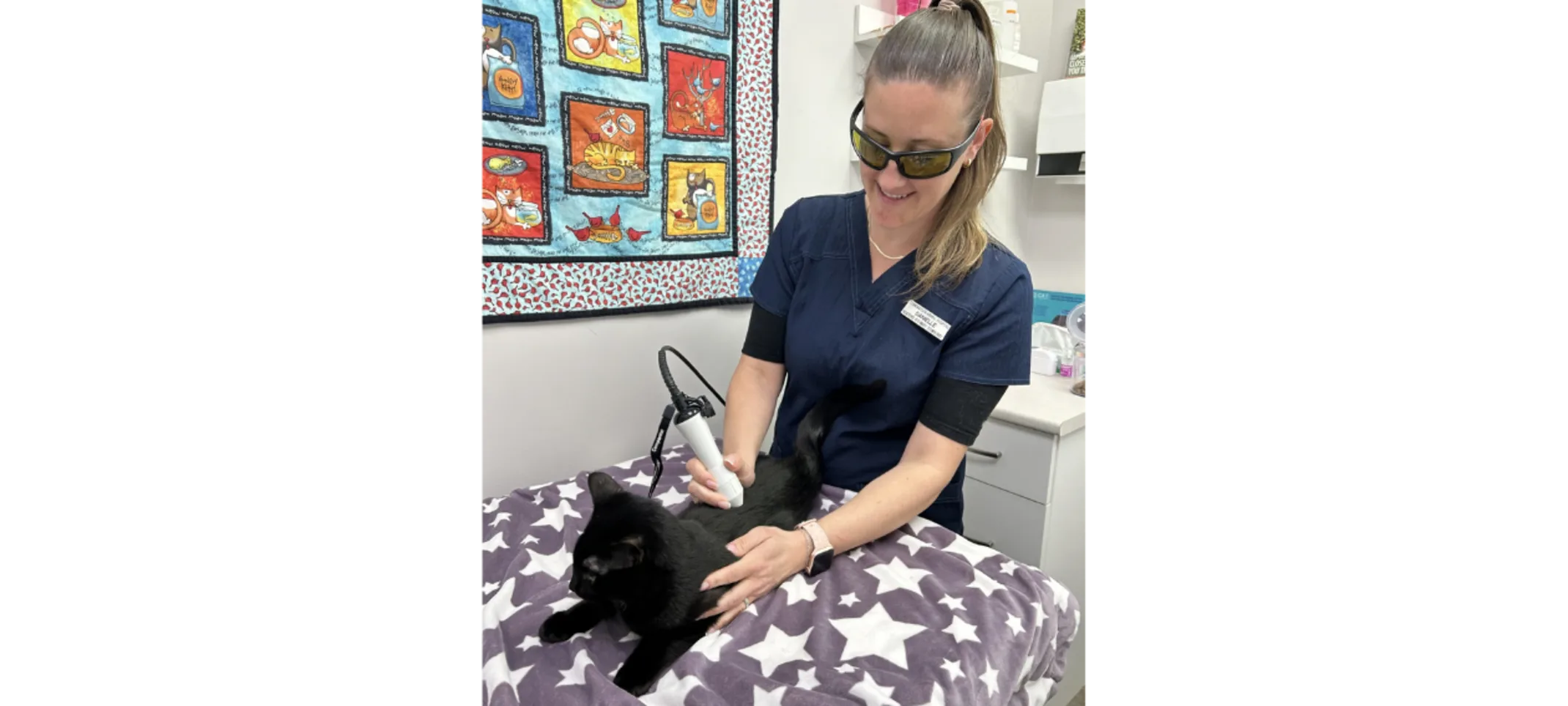 Laser Therapy at Tsawwassen Animal Hospital Laser Therapy at Tsawwassen Animal Hospital