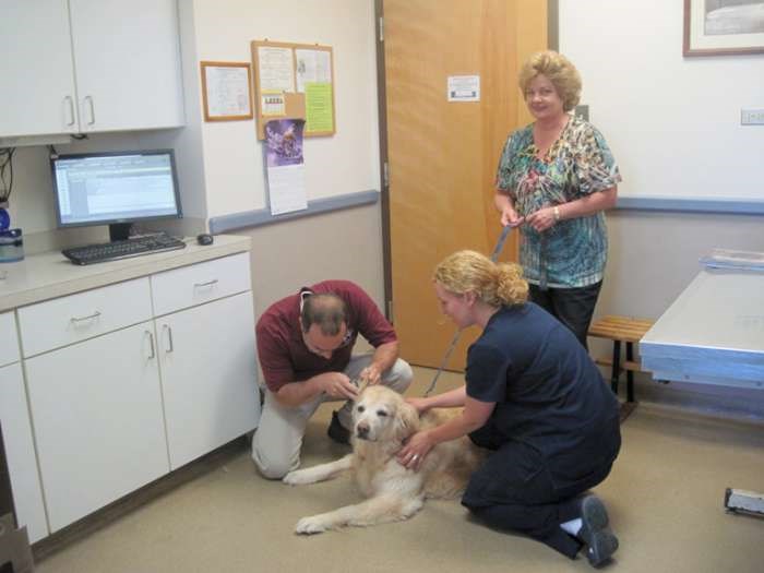 The exam room at Ludwigs veterinary corner 