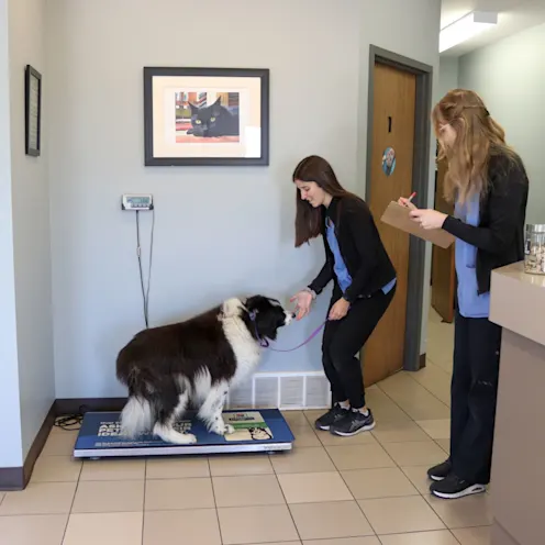 GH & ME Scale GH & ME Scale