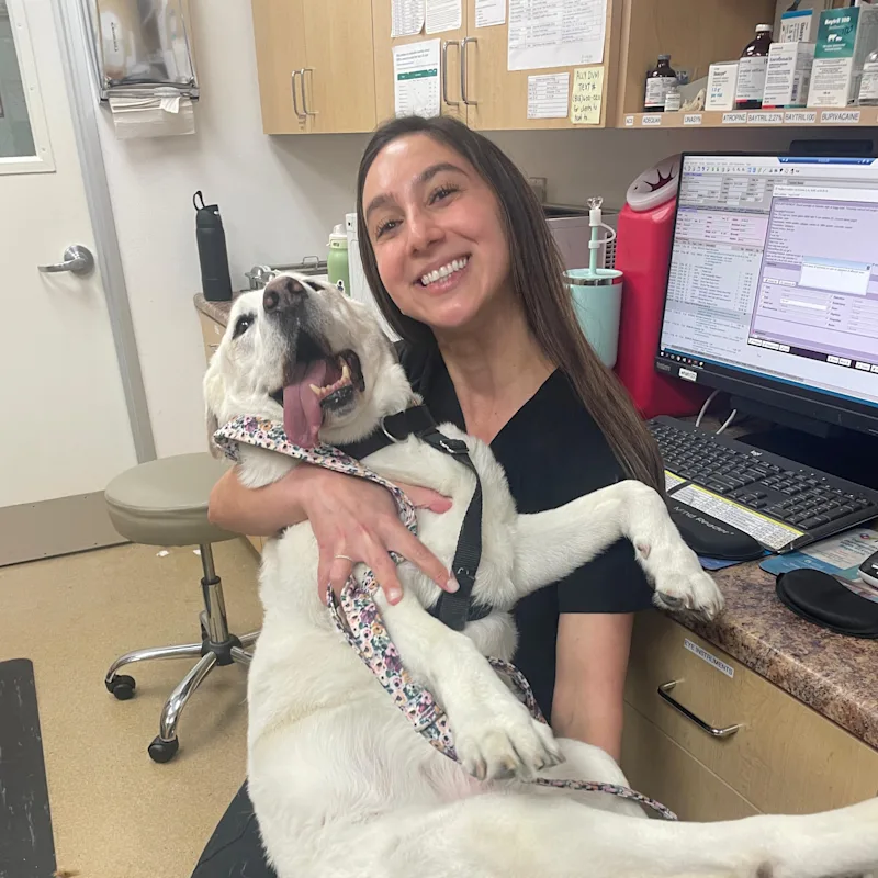 Dr. Khanbabian Dr. Khanbabian