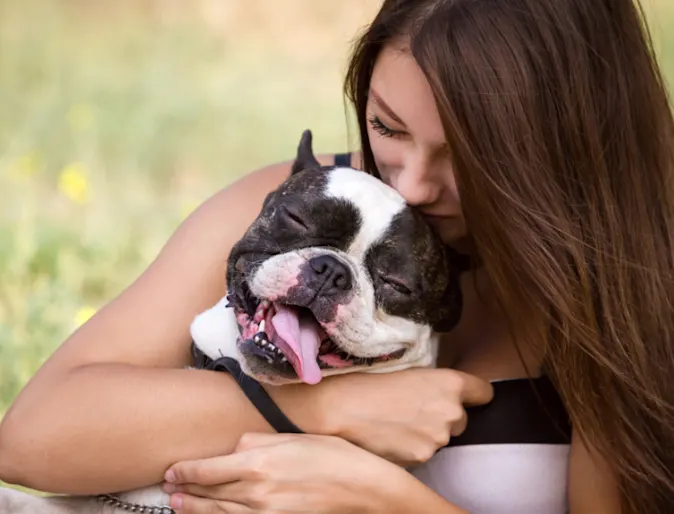 A person holding a French Bulldog A person holding a French Bulldog