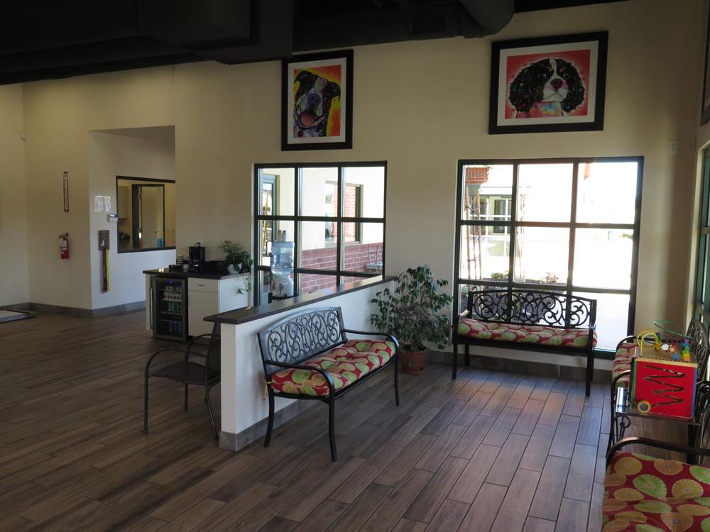 waiting room the second view