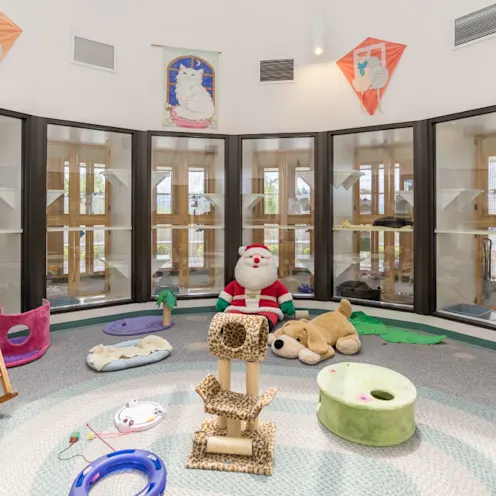 Boarding Rooms at Canine County Club & Feline Inn Boarding Rooms at Canine County Club & Feline Inn