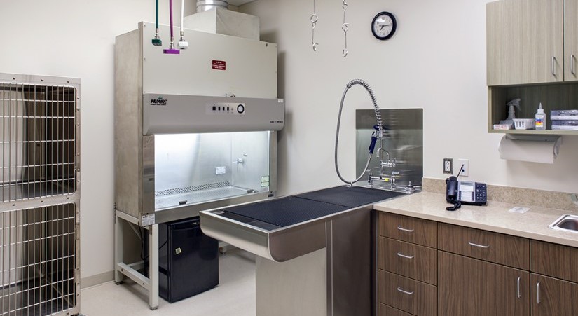 Washing station at AVES