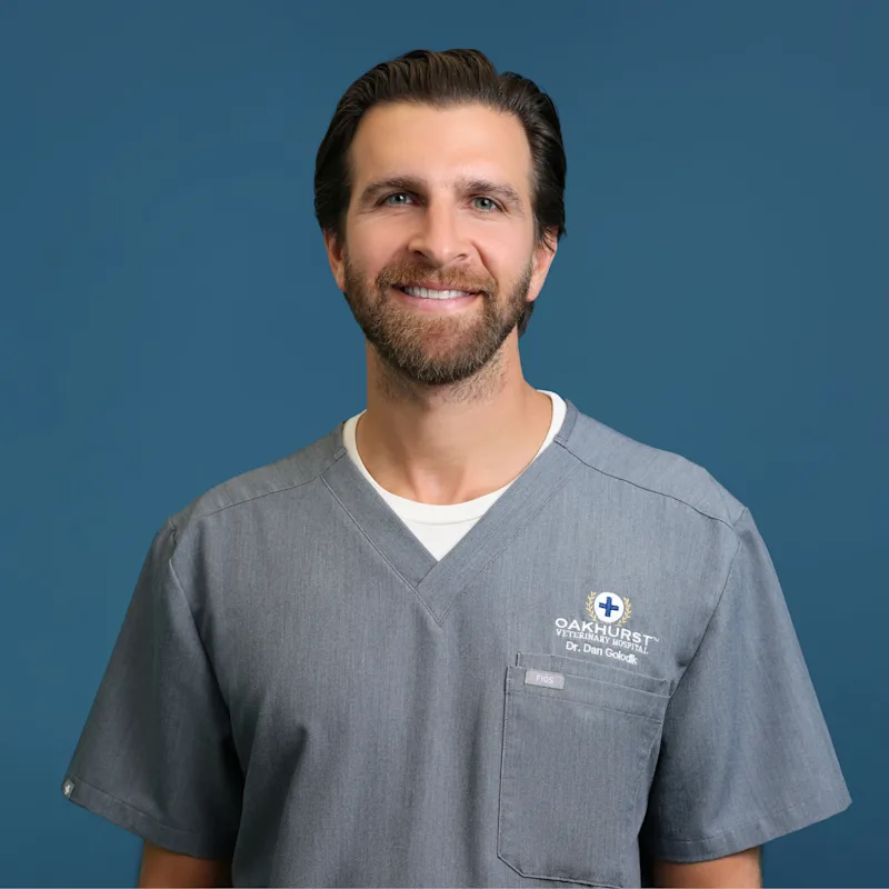 Dr. Dan Golodik posing with a dog in an exam room Dr. Dan Golodik posing with a dog in an exam room