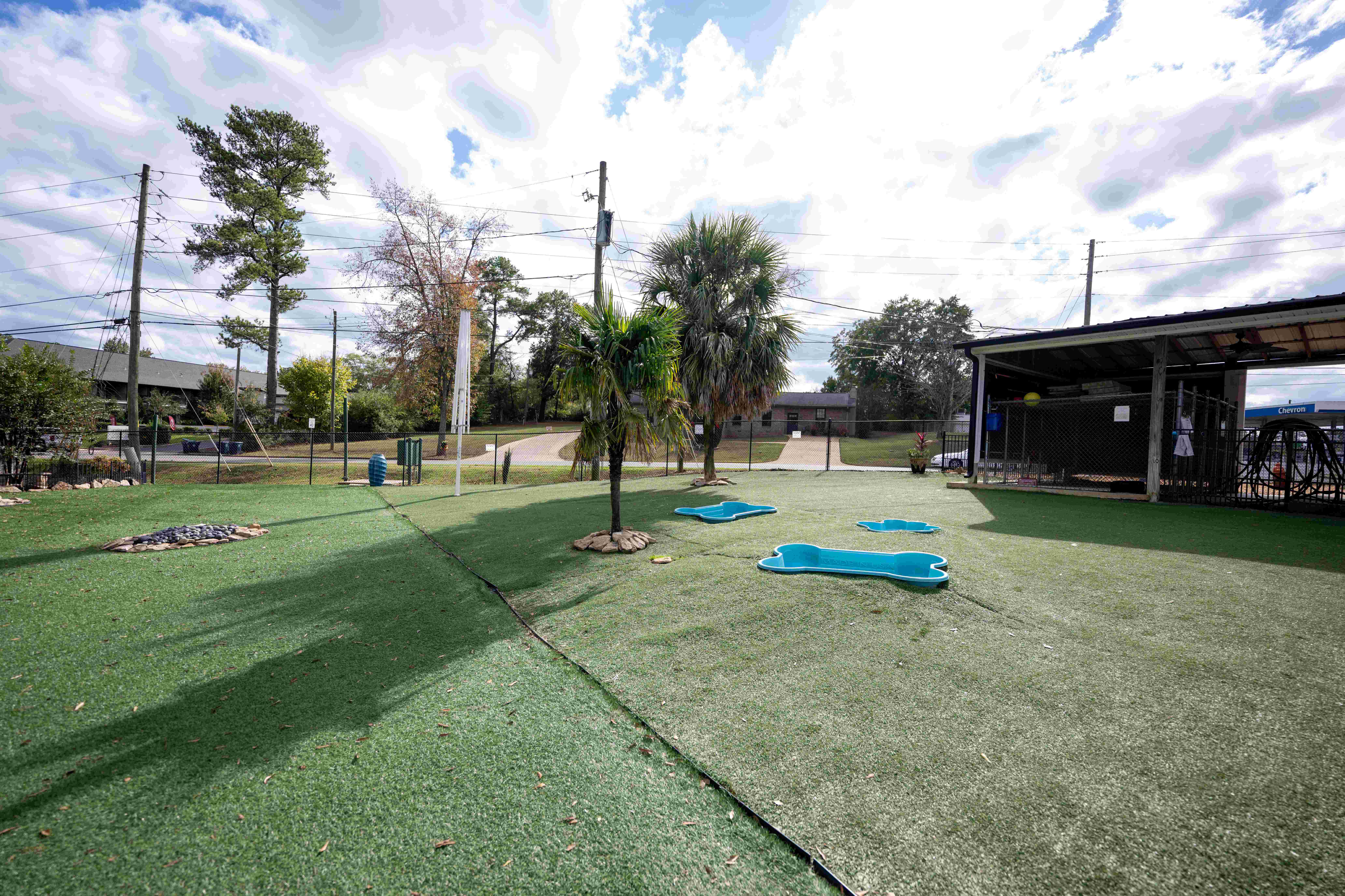 Club Mutt outdoor play area with pools